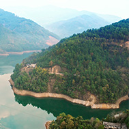  精于茶，良心茶遵循傳統制茶工藝