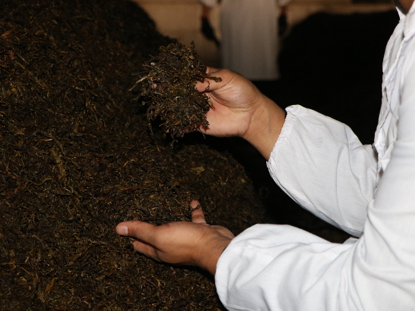 都屬于發酵產品,普洱熟茶與發酵食品有什么關系-葉片情茶業