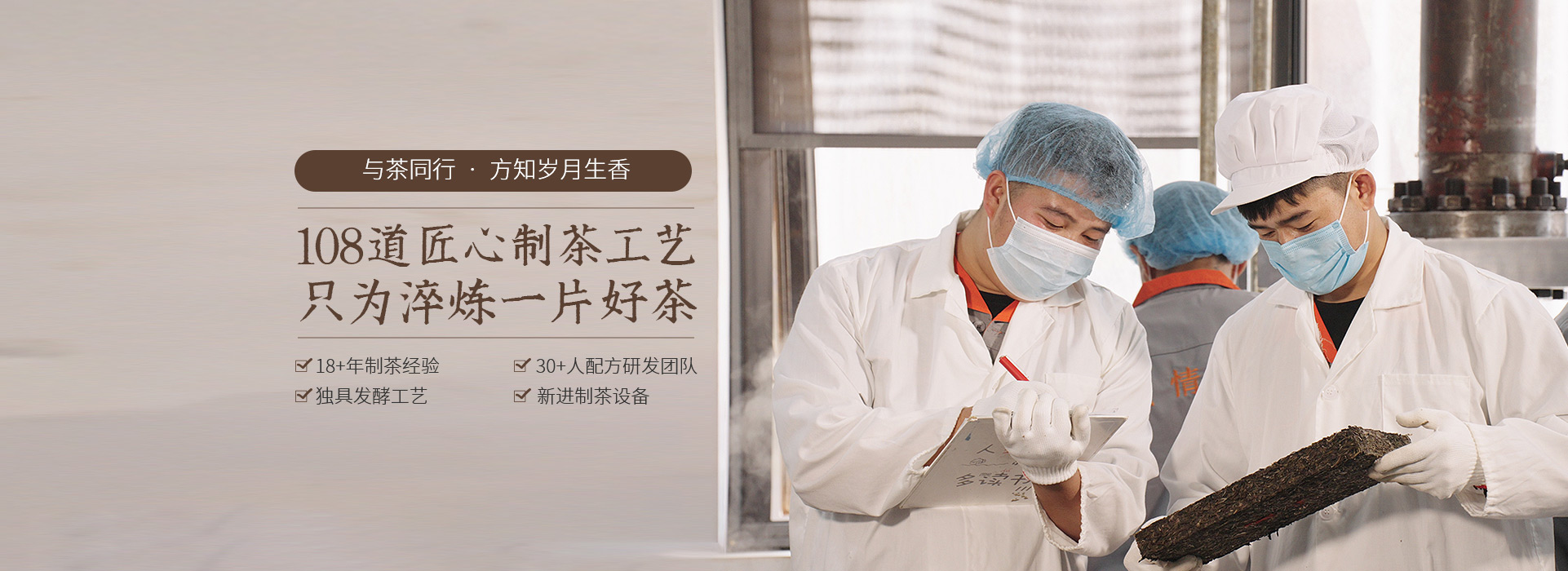 云南普洱茶廠家,專注普洱茶批發定制